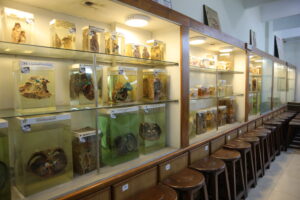 LMDC (7)